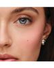 Westman Atelier Westman Atelier The Eyeshadow Holiday Edit Palette - 3