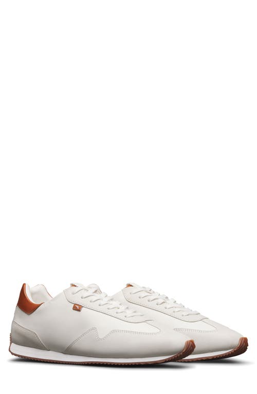 Wolf & Shepherd Wolf & Shepherd Pacer Lite Low Top Racing Sneaker