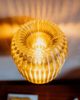 Wooj Design Wooj Design x Christopher Merchant Allium Sconce in Clear at Urban Outfitters - 4