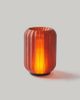 Wooj Design Wooj Design x Christopher Merchant The Cordless Mini Allium Lamp in Amber at Urban Outfitters - 2