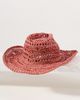 Wyeth Flat-Brim Straw Rancher - 2