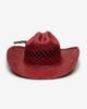 Wyeth Wyeth Brodie Raffia Cowboy Hat in Wine, Women's at Urban Outfitters - 2