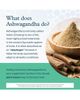 Youtheory Youtheory Ashwagandha GABA Organic Stress Relief Mood Support Supplement 60 Veg Capsules - 4