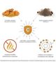 Youtheory Youtheory Extra Strength Turmeric Curcumin Supplement 1000 mg 180 Vegetarian Capsules - 4