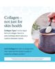 Youtheory Youtheory Joint Collagen Premium Amino Acid Supplement Tablets 120 Tablets - 4