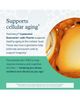 Youtheory Youtheory Longevity Liposomal Quercetin Fisetin Vegetarian Capsule Supplement 90 Vegetarian Capsules - 4