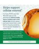Youtheory Youtheory Longevity NR Nicotinamide Riboside NAD+ Booster Supplement 90 Vegetarian Capsules - 4