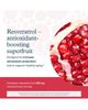 Youtheory Youtheory Resveratrol Advanced Antioxidant Super-Fruit Supplement 290 Tablets - 4