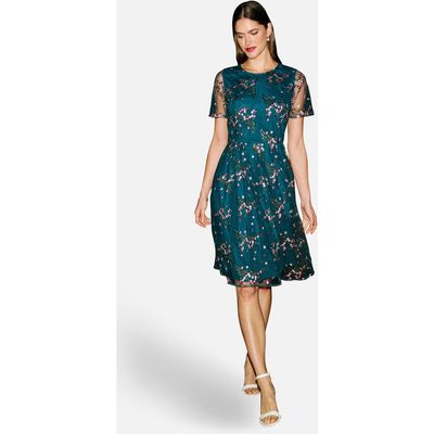 Yumi Yumi Embroidered Floral Mesh Fit-Flare Dress