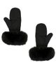 Yves Salomon Yves Salomon Fox Fur Trim Mittens - 2