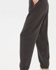 Z Supply Z Supply Uptown Joggers Ash Black - 4