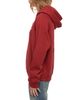Zadig & Voltaire Zadig & Voltaire Georgy Hooded Embellished Back Sweatshirt - 3