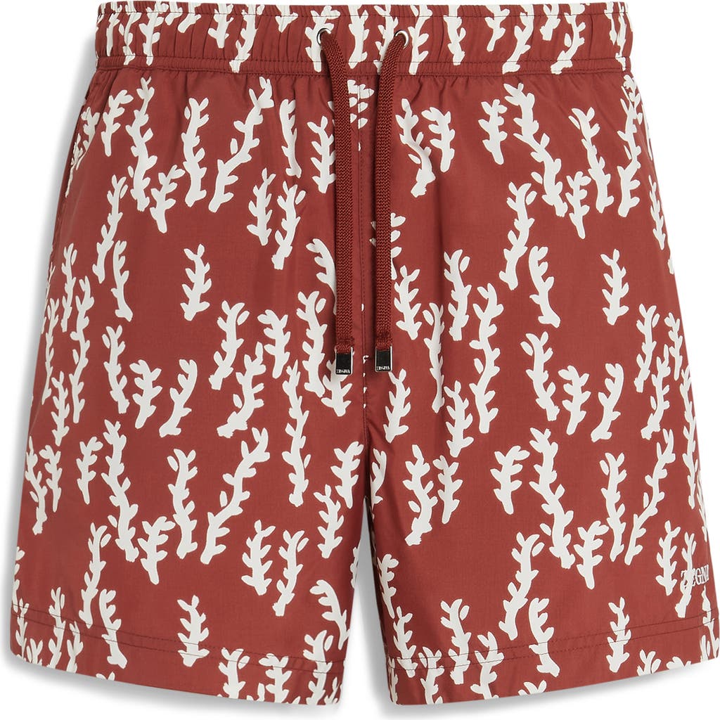 ZEGNA ZEGNA Oasi Print Swim Trunks