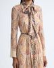 Zimmermann Zimmermann Valiant Deco Print Long Sleeve Maxi Shirtdress - 4