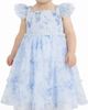 Zunie Zunie Flutter Sleeve Print Mesh Smocked Bodice Dress - 2