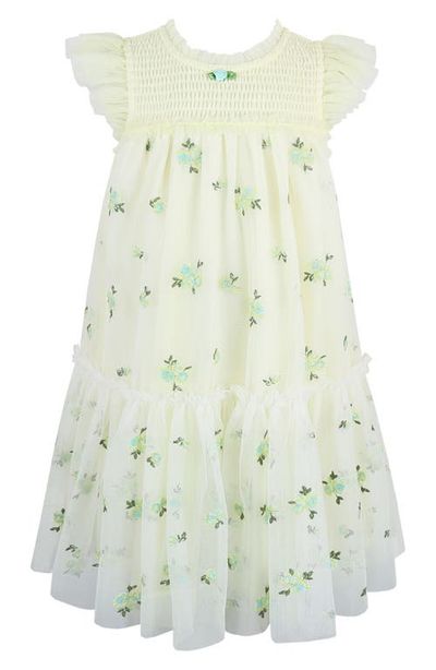 Zunie Zunie Kids' Embroidered Flutter Sleeve Mesh Party Dress