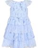 Zunie Zunie Kids' Floral Chiffon & Lace Tiered Dress - 1