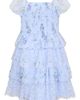Zunie Zunie Kids' Floral Chiffon & Lace Tiered Dress - 2