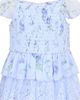 Zunie Zunie Kids' Floral Chiffon & Lace Tiered Dress - 3