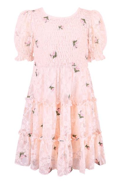 Zunie Zunie Kids' Floral Embroidered Lace Tiered Dress